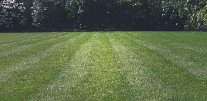 Taille & Jardins d'Alex nos réalisations