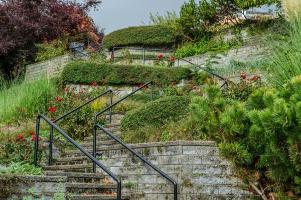 Taille & Jardins d'Alex